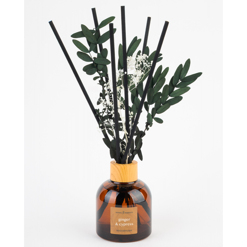 BRAIT vonné tyčinky Herbal moments Ginger & cypress 100 ml