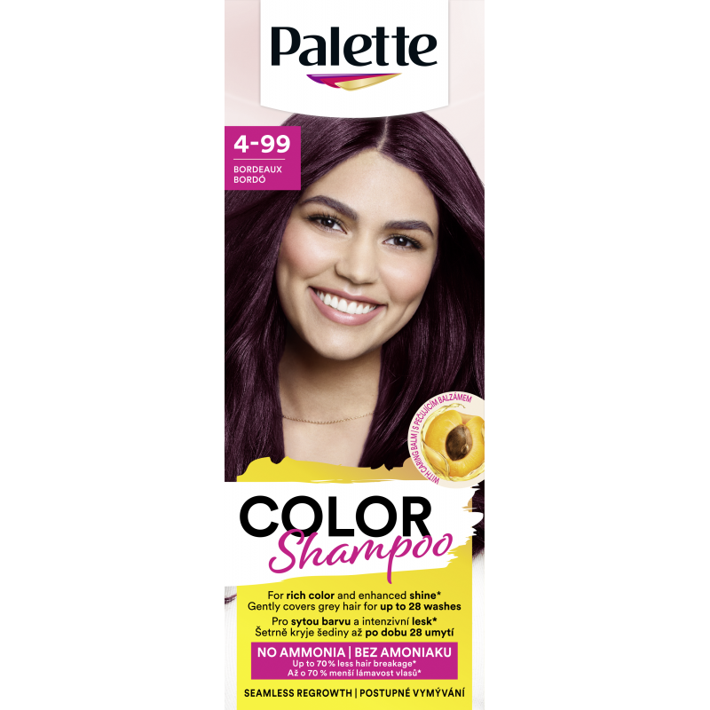Barva PALETTE Color Shampoo 4-99 bordó