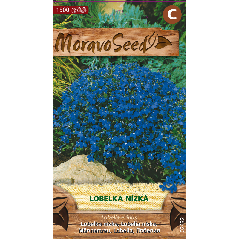 Lobelka drobn� n�zk� modr�, osivo