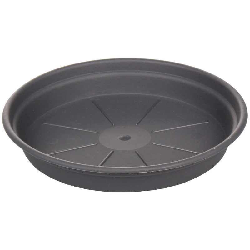 Podmiska Camelie antracit 18cm