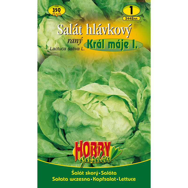 Salát hlávkový raný KRÁL MÁJE I.