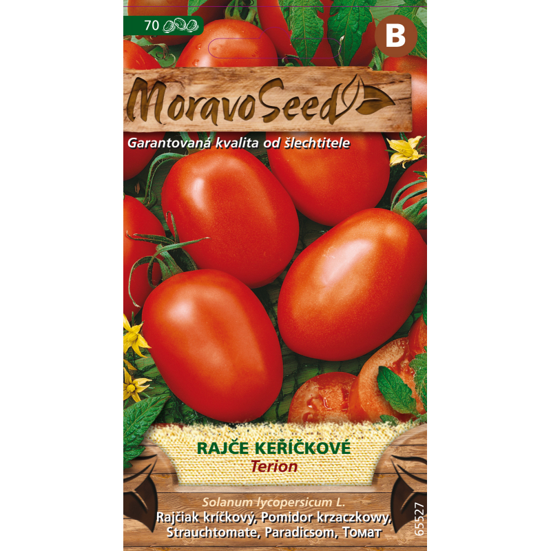 Rajče keříčkové Terion, osivo
