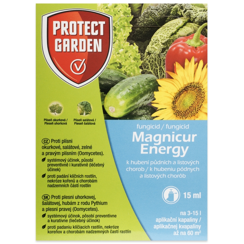 Magnicur Energy 15 ml