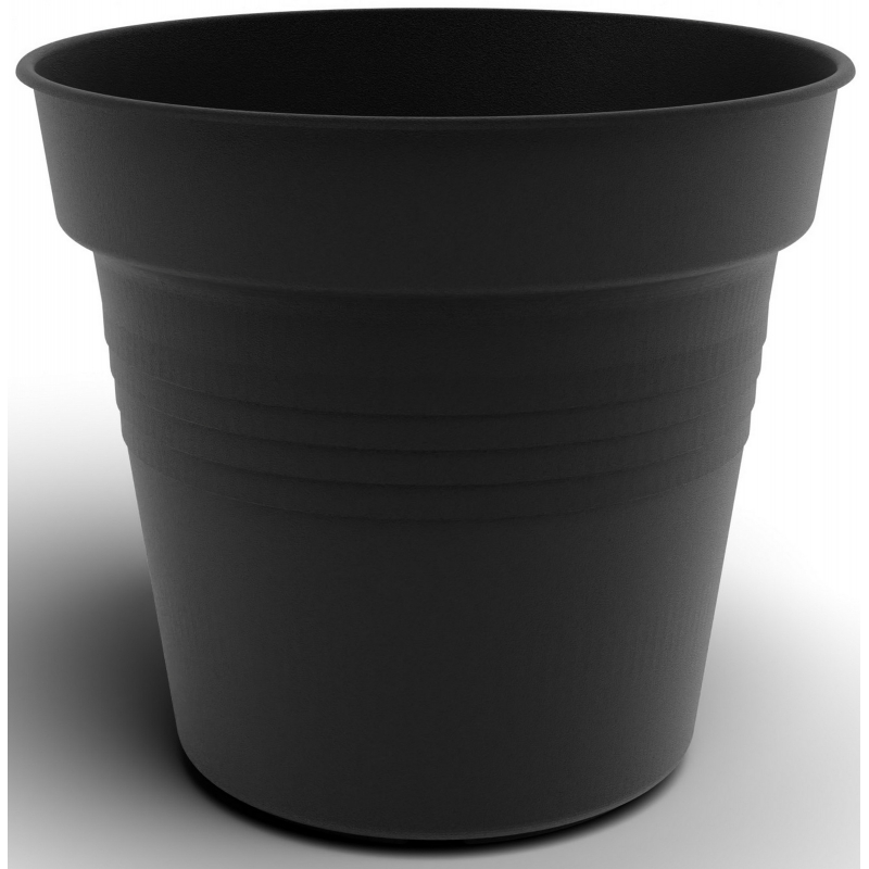 Kv�tin�� Camelie antracit 15 cm