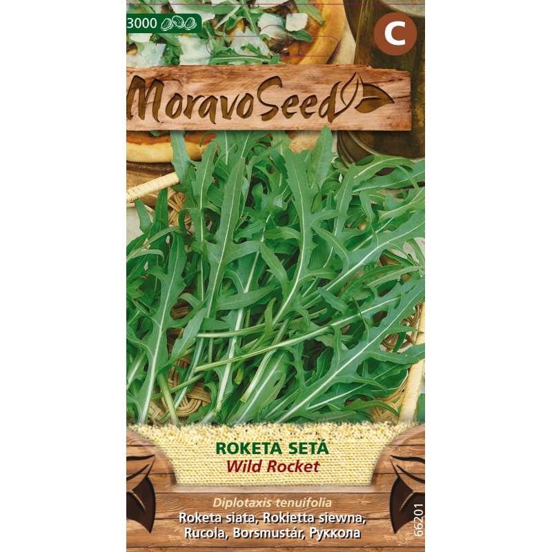Roketa setá WILD ROCKET, osivo