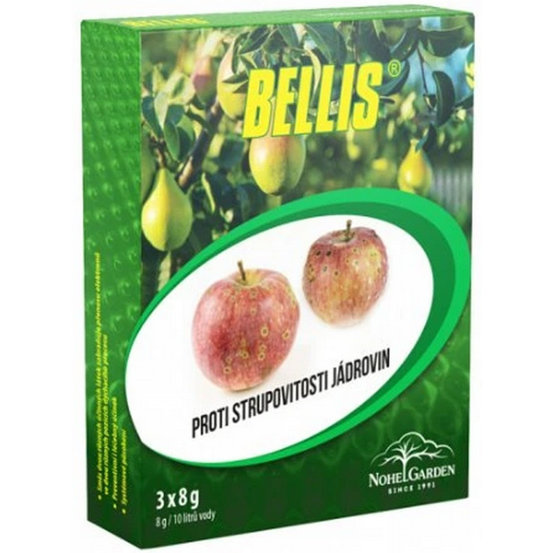 Bellis 3x8 g