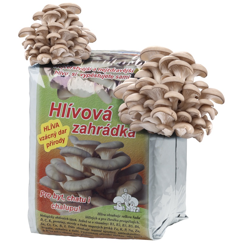 Hlívová zahrádka 15l